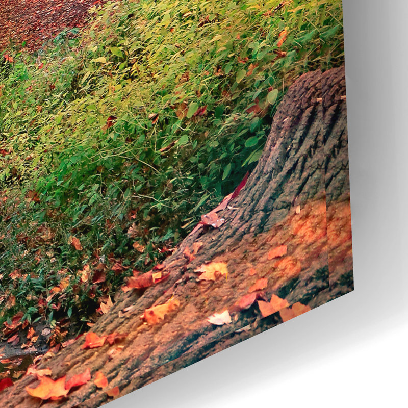 «Autumn at Hopkins Pond» par John Rivera, art mural en verre acrylique, H 16 po x l 24 po x P 0,2 po