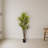 Dracaena Artificial Tree