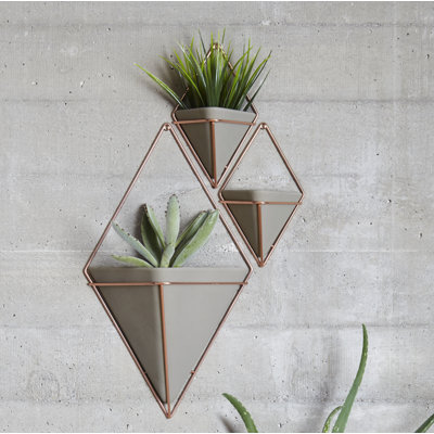 Umbra Trigg Wall Display