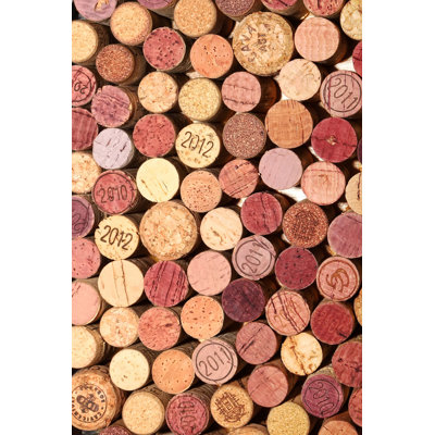Premium Hall Carpet, 3.3 x 9.8 ft, 100% Polyester with Non-Slip PVC Dot Underside | 8 mm Pile Height, 650 gr/sq m | Machine Washable, 3D Digital Printing, Durable & Stylish for Entryways & Living Rooms