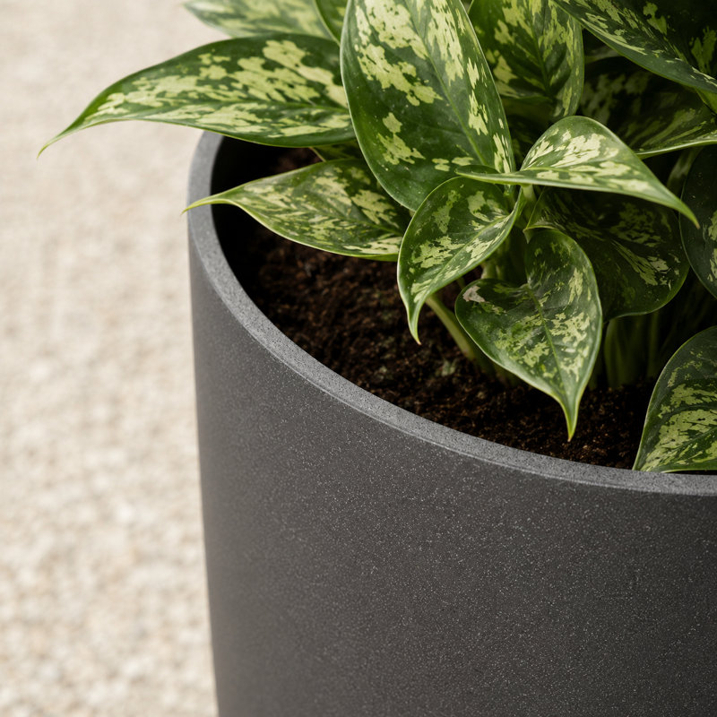 Grand pot de fleurs intérieur / extérieur en résine moucheté gris avec soucoupe et écran de drainage (ensemble de 2), Gris, 2