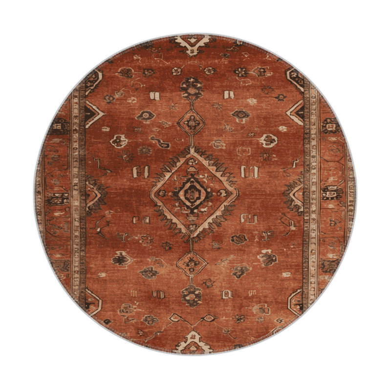 Tapis intérieur et extérieur brun Overdyed, Rond 5 pi