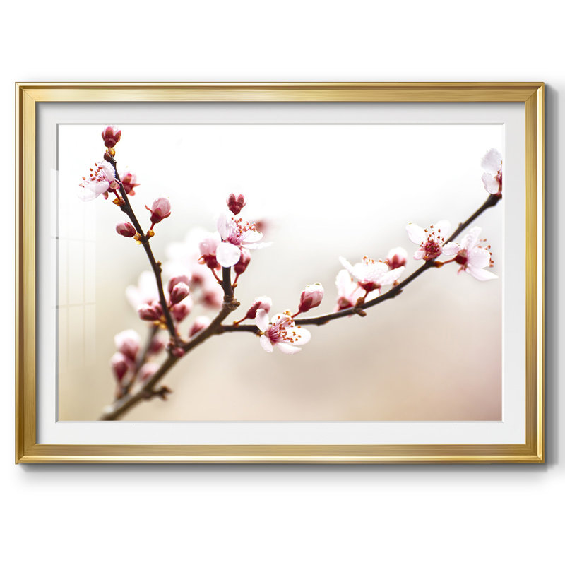 Cherry Blossom Study I, reproduction d'art encadrée, H 19 po x l 27 po x P 1,5 po, Or