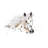 Appaloosa by Patricia Pinto - Wrapped Canvas Gallery-Wrapped Canvas Giclée-1429001031