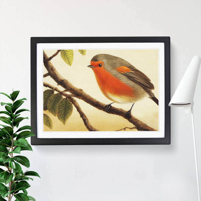 Contemporary Robin Bird - Framed Print, Black, 46cm H x 64cm W x 2cm D