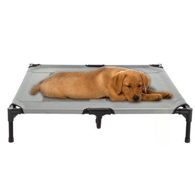 Lit pour chien surélevé de 36 po x 29,75 po PETMA PETER