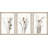 " Brown Foliage " 3 - Pieces-1359338375