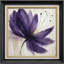 Impression florale mauve avec des accents dorés - impression sur papier encadrée-73286964-73286965