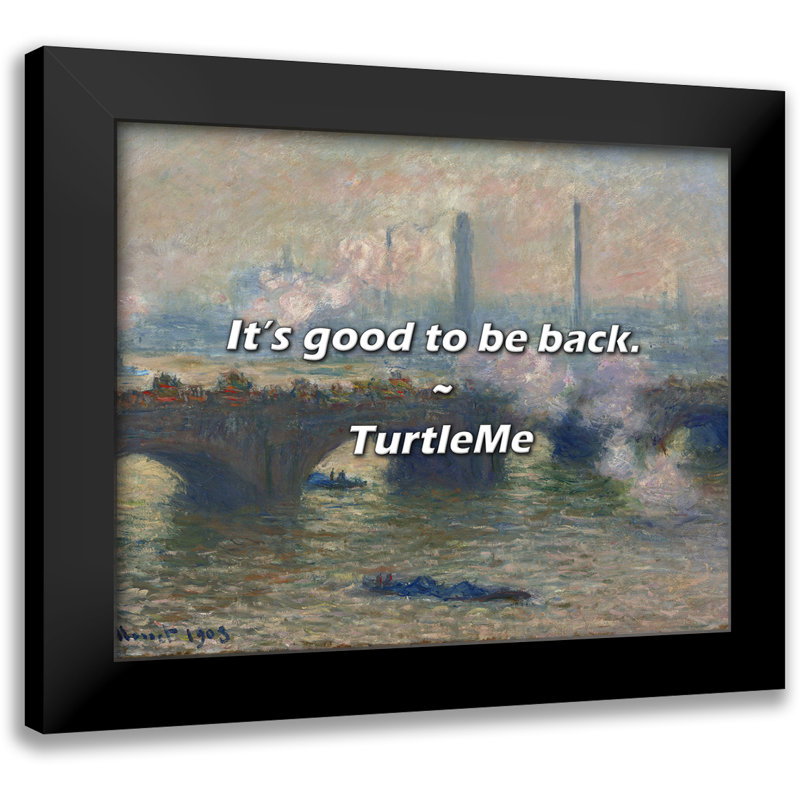 TurtleMe Quote: It’s good to be back.
