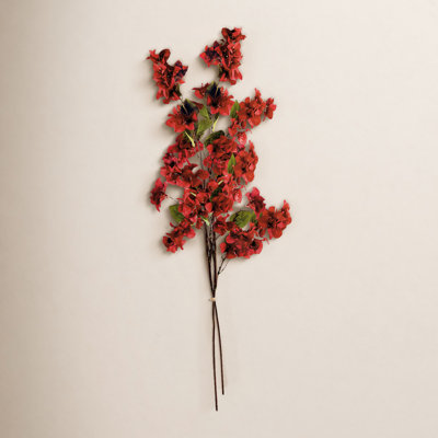 Bougainvillea Stems