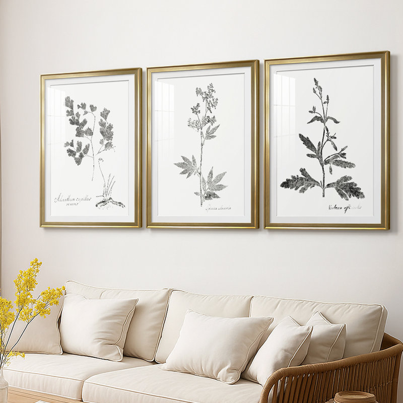 Botanical Imprint I - Impression personnalisée de qualité supérieure avec cadre mat - 3 pièces