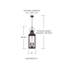 Lanterne suspendue d'extérieur 4 lumières l 9 po x H 29,5 po avec verre transparent Caden-70886161
