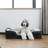 Orthopedic Memory Foam Suede Pet Bed-118645465