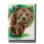 «Brawny» par Barbara Keith, art mural sur toile