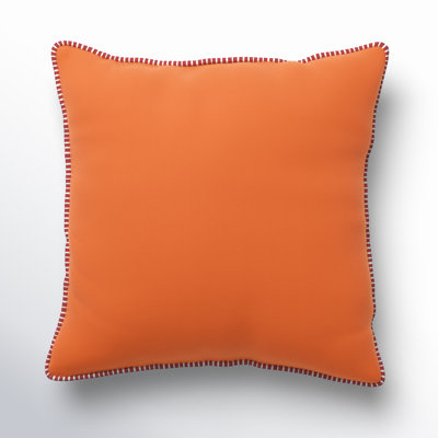 Delijah Sunbrella® Indoor/Outdoor Throw Pillow