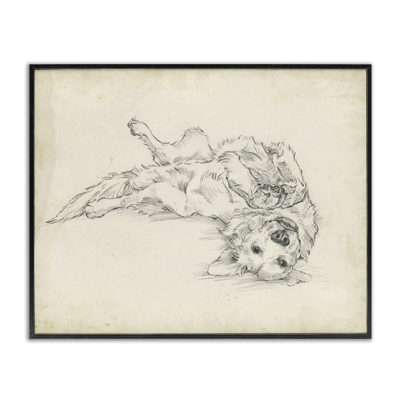 Esquisse de chiot ludique, dessin par Ethan Harper, H 11 po x l 14 po, Giclée encadrée noir minuit