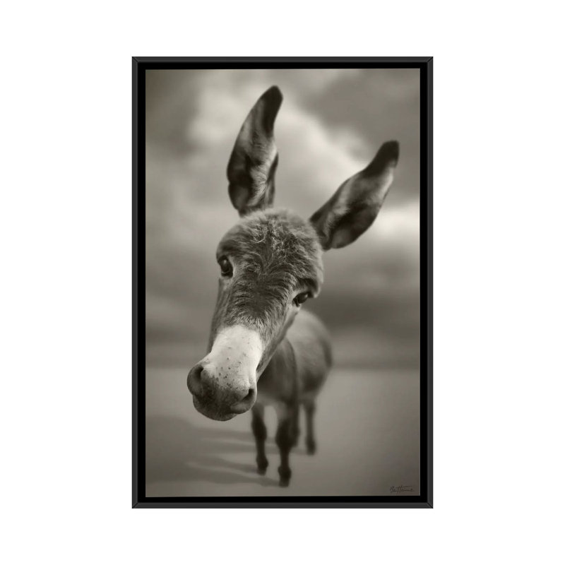 Hey There by Ben Heine - Print on Canvas, Black Framed, 101.6 cm H x 66.04 cm W