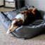 Lit pour chien Titan Citadel-57562265-57562251