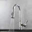 Trova Kitchen Faucet-61695821