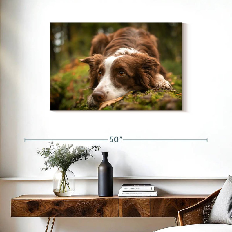 Lovable Border Collie, 24" H x 36" W