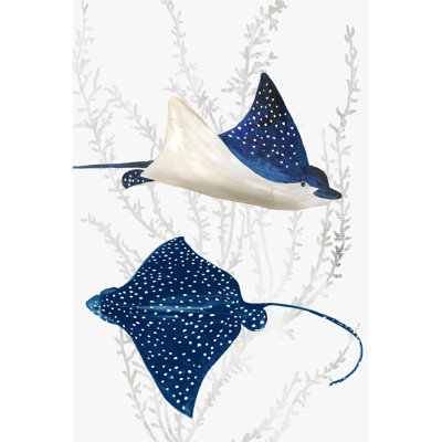 " Blue Stingray II "