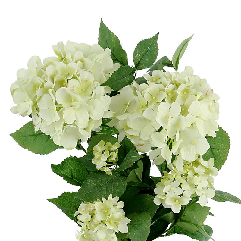 Organic Modern Hydrangea Floral Arrangement