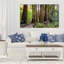 " Boardwalk In The Forest "-29334020