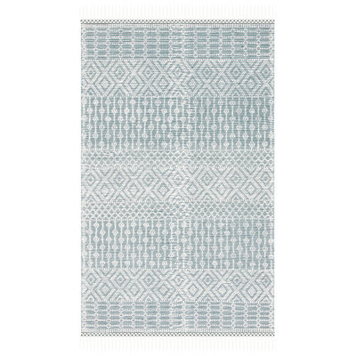 Vintage Look Hand Woven Area Rug