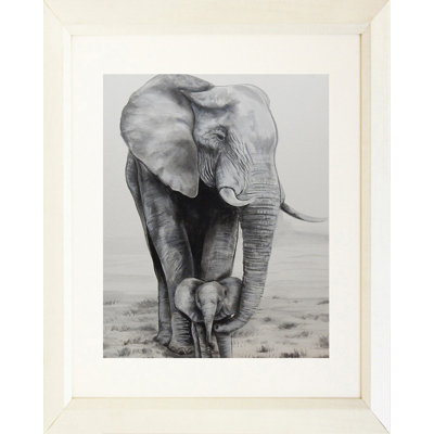 «Elephant Love», reproduction