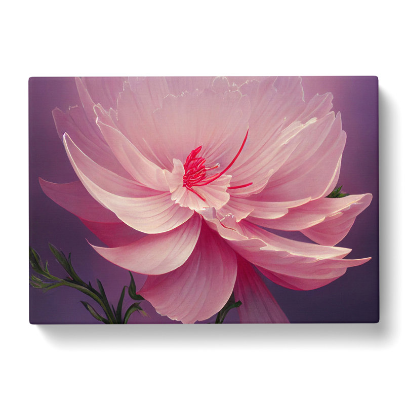 Creative Carnation Flower - Wrapped Canvas, 40cm H x 60cm W x 3cm D