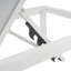 Ensemble de 2 chaises longues d'extérieur-1546108260