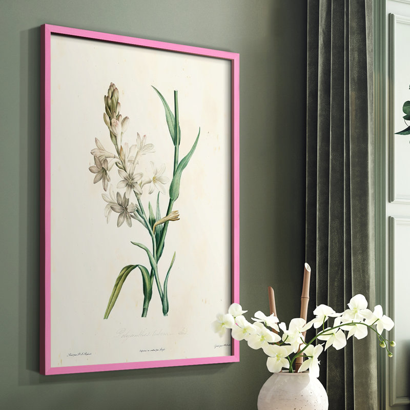 «Traditional Botanical IV», reproduction encadrée - bois massif, Brun, H 14 po x l 11 po