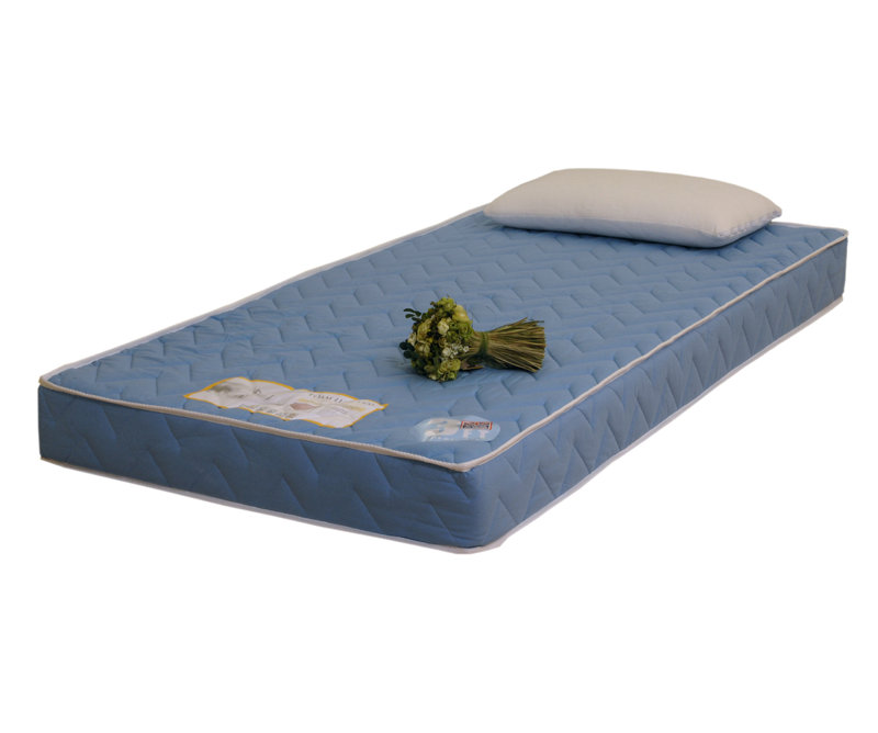 Symple Stuff Foam Mattress, Double (4'6), Regular, Blue