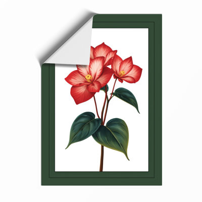 Single Rose In Bloom Botanical - Print