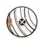 Colly Metal Wall Clock