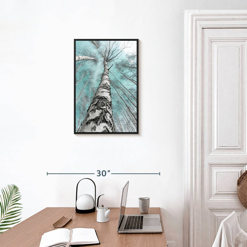 Bouleaux imposants, Cadre flottant noir, 17 po x 25 po