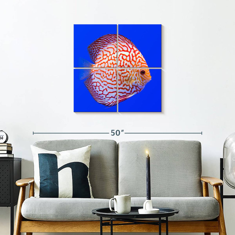 Brampt Exotic Discus Fish, 26" H x 26" W
