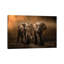 «Elephants Dust Bath ...» par Charlaine Gerber - reproduction de photo sur toile tendue-55903810