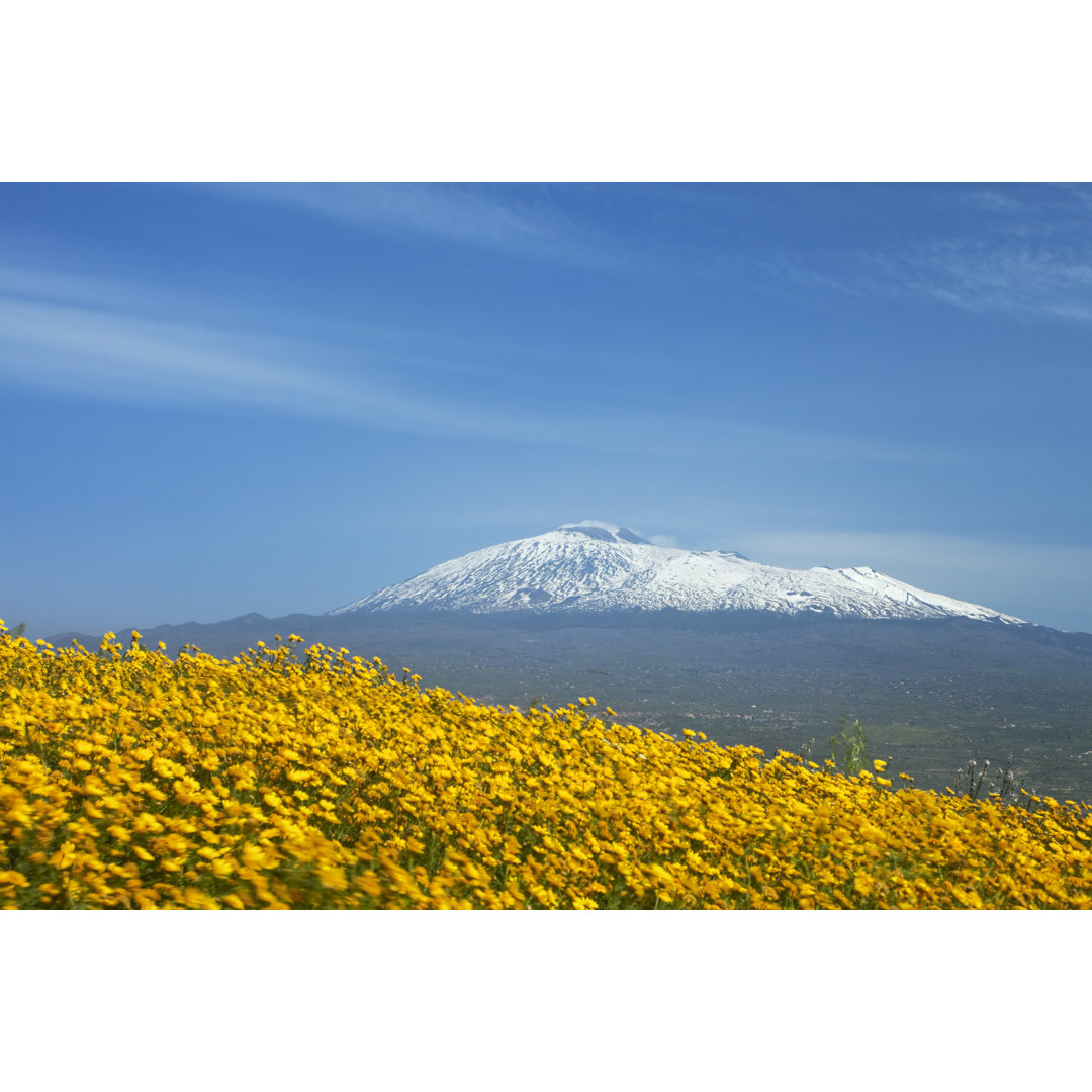 Ländliche Landschaft mit Frühlingsblumen von Sara_Winter - Drucken