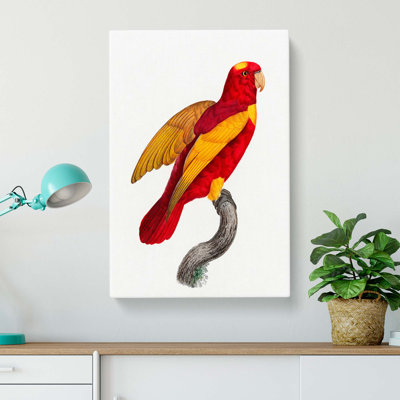 Lory by F. Levaillant - Wrapped Canvas