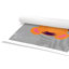 Impression sur papier Tigert Lane Tiger Lane-47833549-47482585