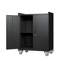 Door Tool Cabinets  Garage, Lockable Garage Storage Cabinet, Locking Metal Storage Cabinet With Wheels, Rolling Tool Chest, Assembly Required H*W*D
