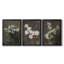 Vintage Floral Print CCLXXXVII  -Custom Framed  Wrapped Gallery Canvas - 3 Pieces-863386866-863386865