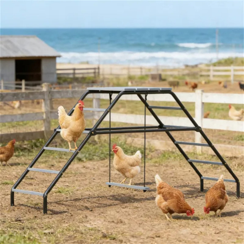 Support pour perchoir de poulailler Grey Backyard Farm