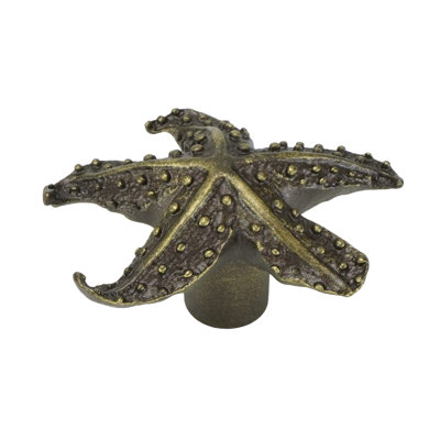 Tropical star fish knob in Antique Brass