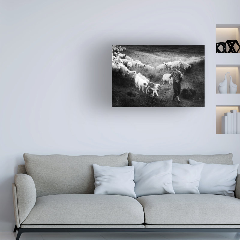 Art sur toile «Bachelo Sebastian Vasiu», H 12 po x l 19 po