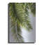 «Palm Leaves» par Lexie Greer-957590606
