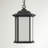 Kent One Light Outdoor Pendant from Generation Lighting -1131555377-1121209020