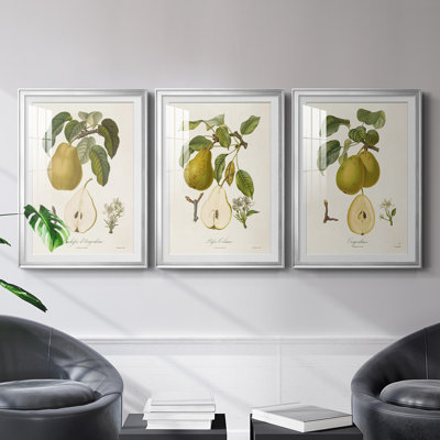 Vintage Pears I, reproduction encadrée de qualité supérieure - prête à être accrochée
