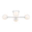 4 - Light Semi Flush Mount